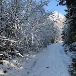 Landgasthof Fischer Veri
